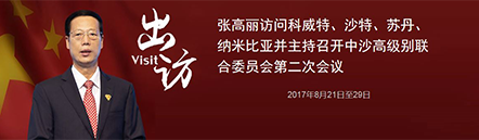 张高丽访问科威特 