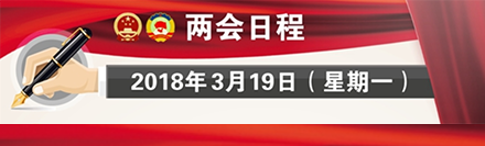 3月19日：决定国务院副总理、国务委员等人选 表决全国人大8个专门委员会有关名单草案 