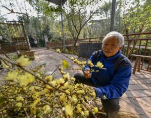 随着大批的老人到海南过冬 候鸟式养老烦恼应如何破解？
