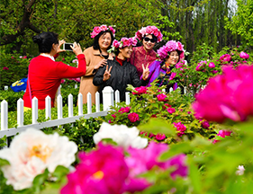 山东菏泽：花开富贵迎客来