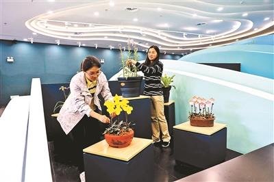 世园会展出300余种珍稀濒危植物 “稀世之花”亮相 