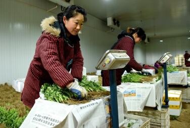 河北临城：电商公共服务 打通山里货出山“最后一公里” 