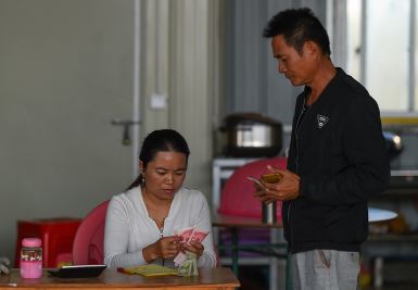 海南冬季瓜菜进入上市旺季