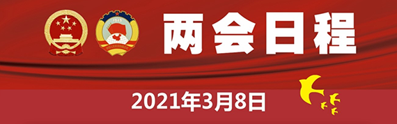 3月8日：十三届全国人大四次会议举行第二次全体会议 