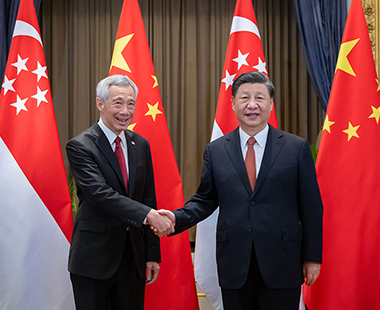 习近平会见新加坡总理李显龙 