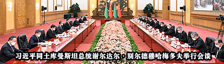 习近平同土库曼斯坦总统谢尔达尔·别尔德穆哈梅多夫举行会谈