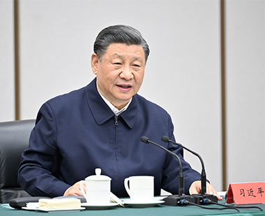 习近平在河北雄安新区考察并主持召开高标准高质量推进雄安新区建设座谈会