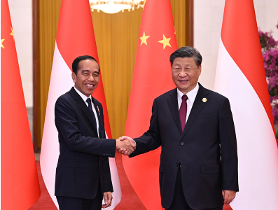 习近平同印度尼西亚总统佐科会谈