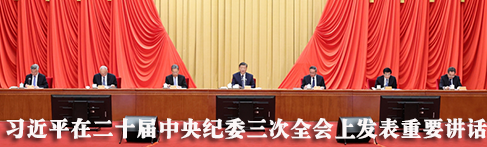 习近平在二十届中央纪委三次全会上发表重要讲话